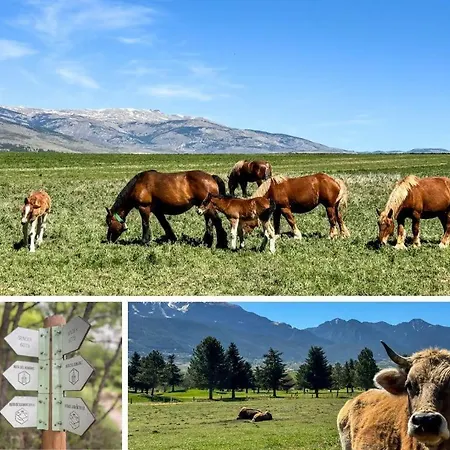 Apartamento Moixeró Escapada En La Montaña